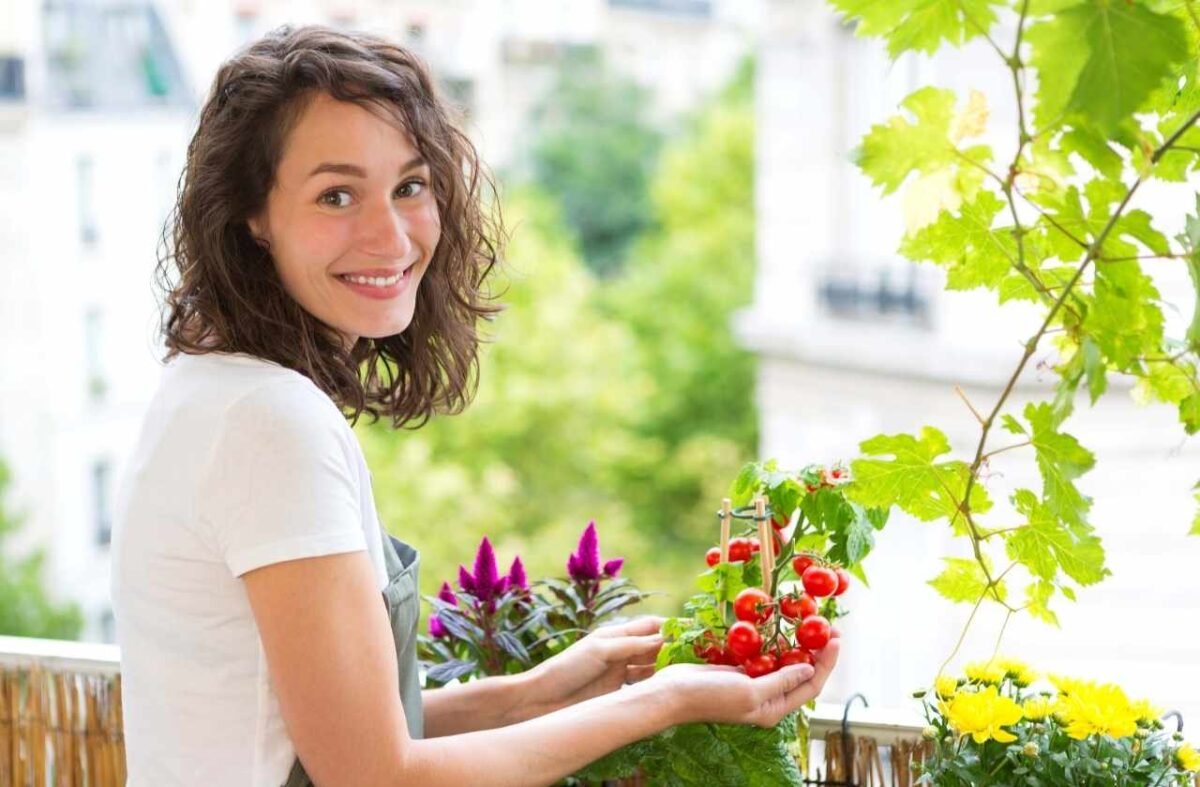 Como Cultivar Uma Horta Em Um Apartamento Pequeno Eufemea